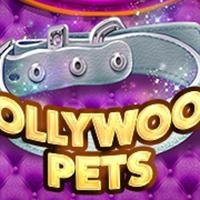 Hollywood Pets